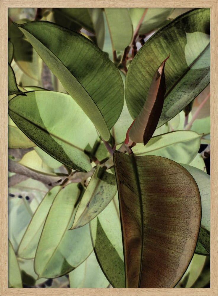 Leafy Dreamscape | Poster