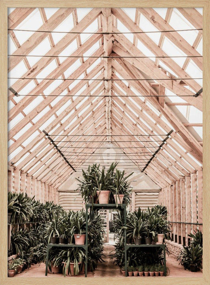 Serene Greenhouse | Poster