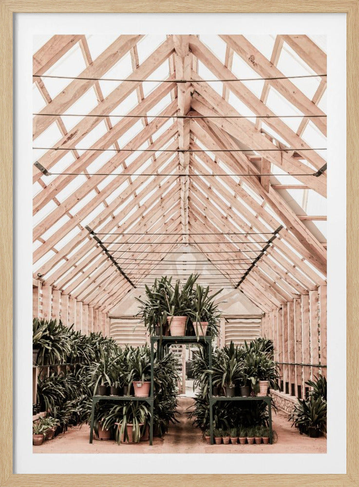 Serene Greenhouse | Poster