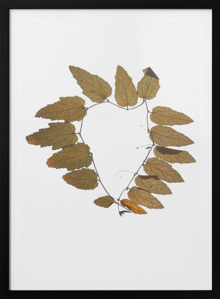 Leafy Embrace | Poster