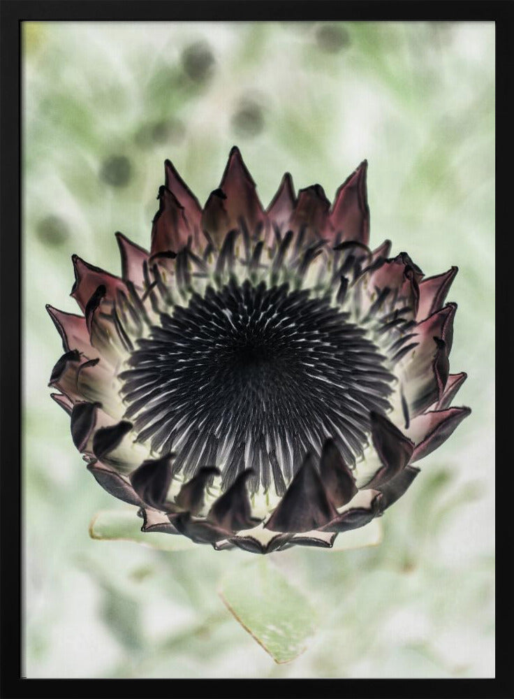 Mystische Blüte | Poster