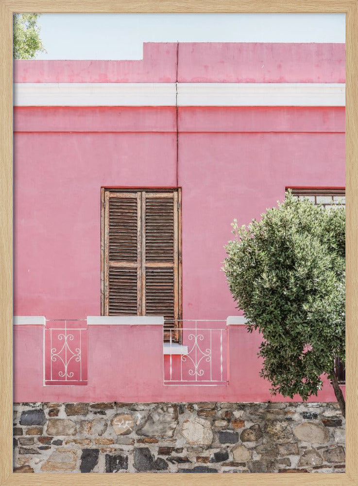 Pink Facade Serenity | Poster