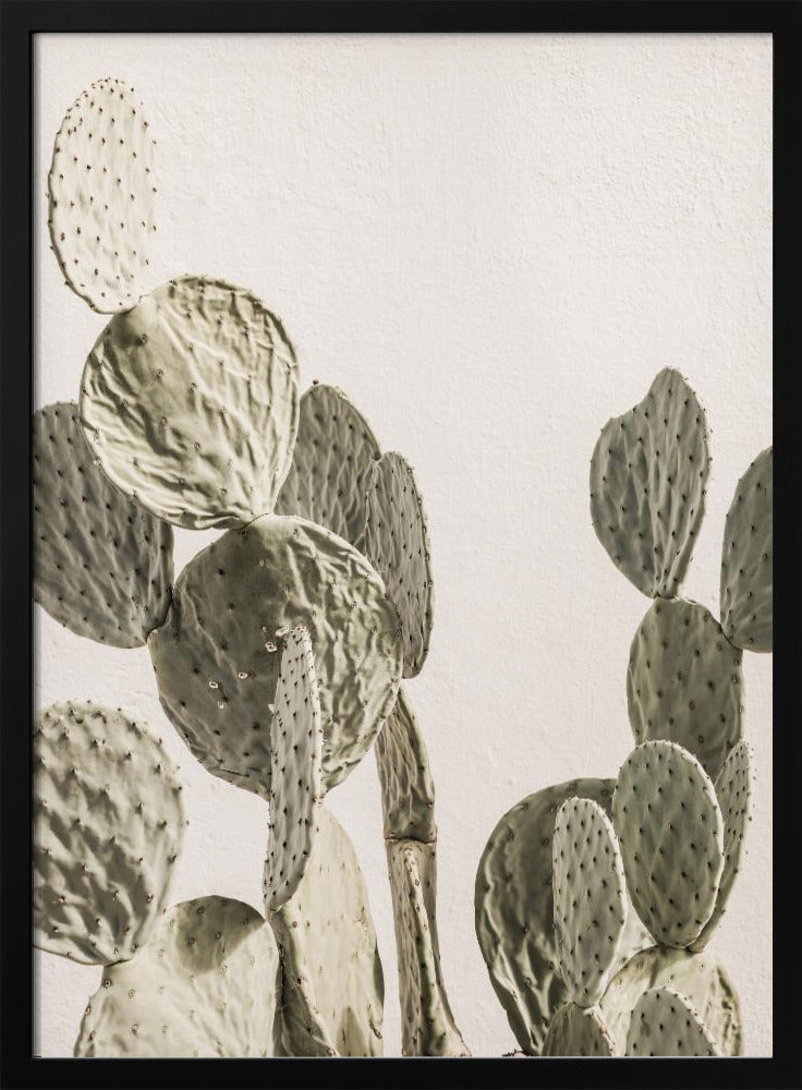 Cactus Serenity | Poster