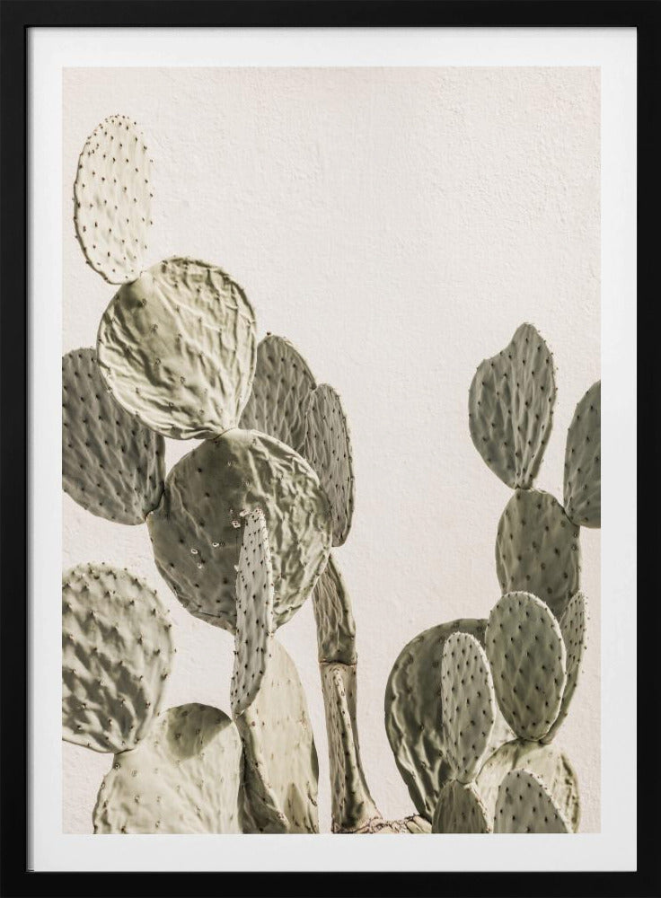 Cactus Serenity | Poster