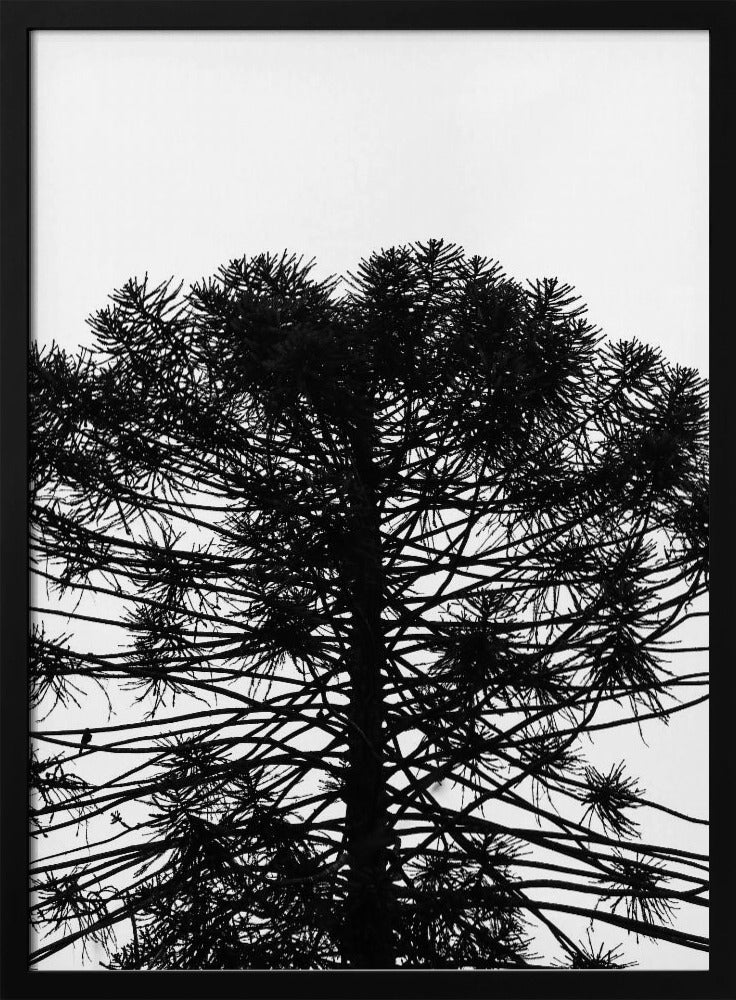 Silhouetten-Symmetrie | Poster