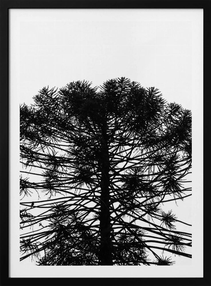 Silhouetten-Symmetrie | Poster