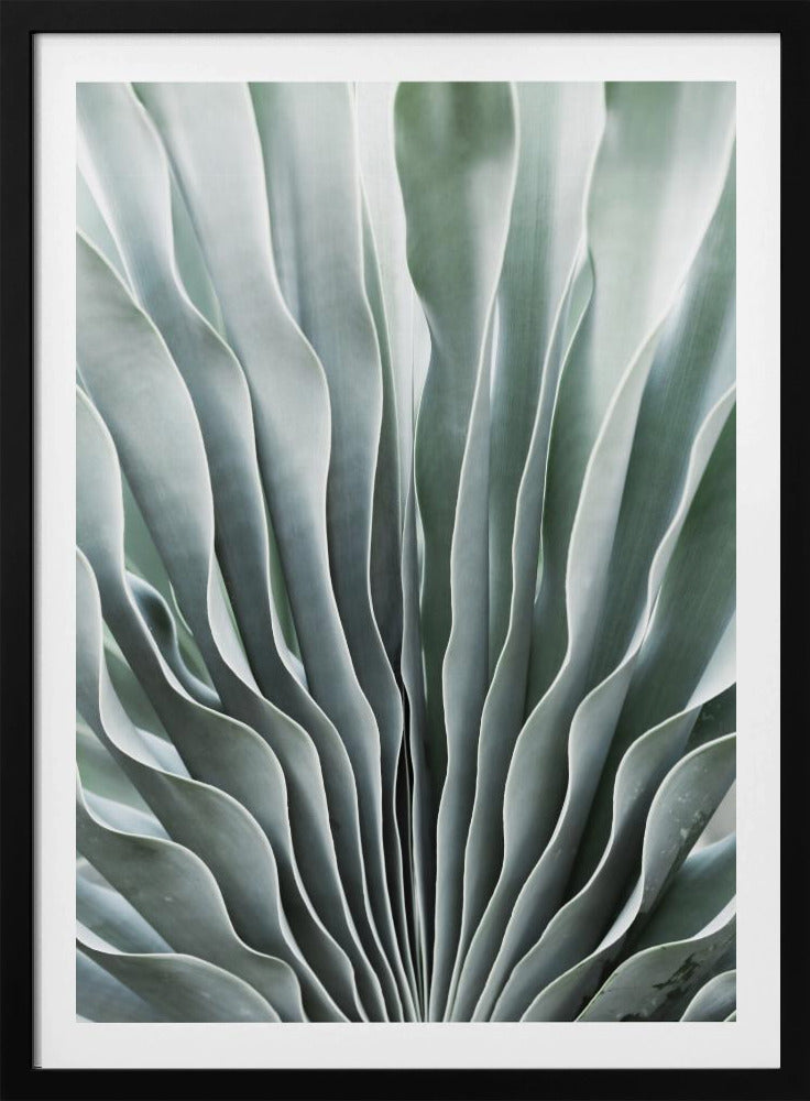 Die Gnade der Natur | Poster