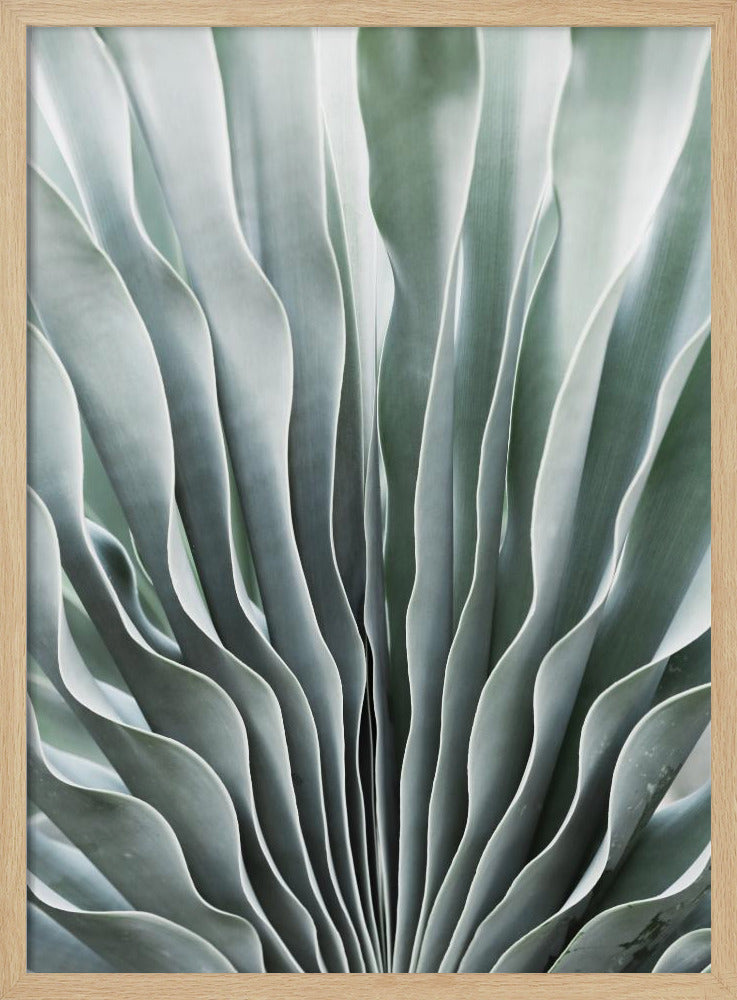 Die Gnade der Natur | Poster
