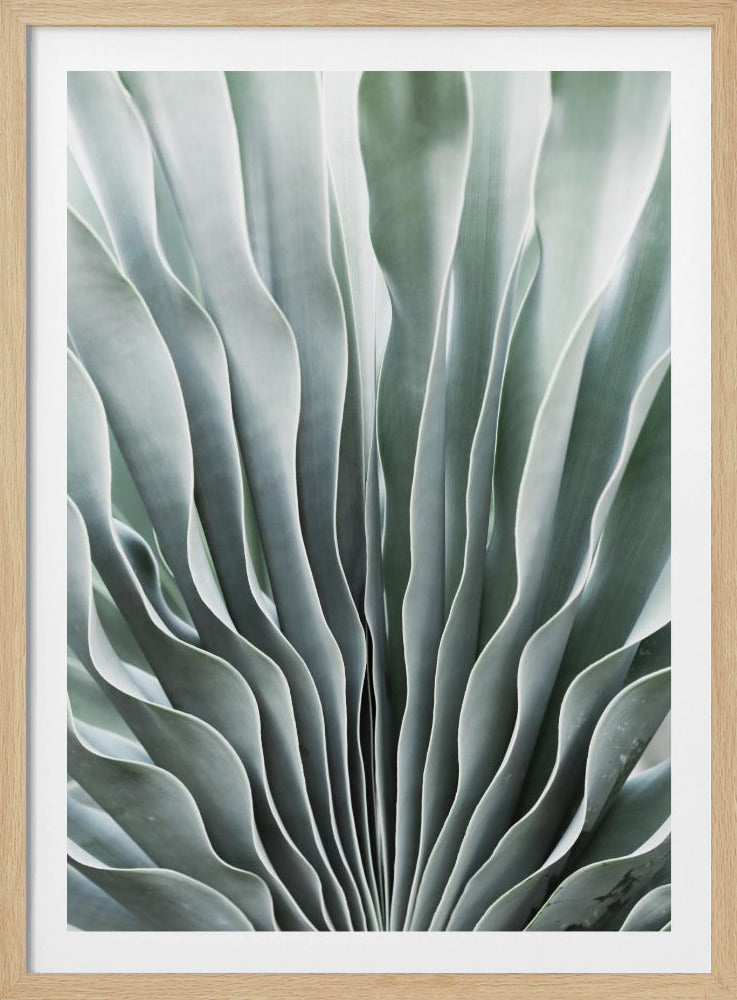 Die Gnade der Natur | Poster