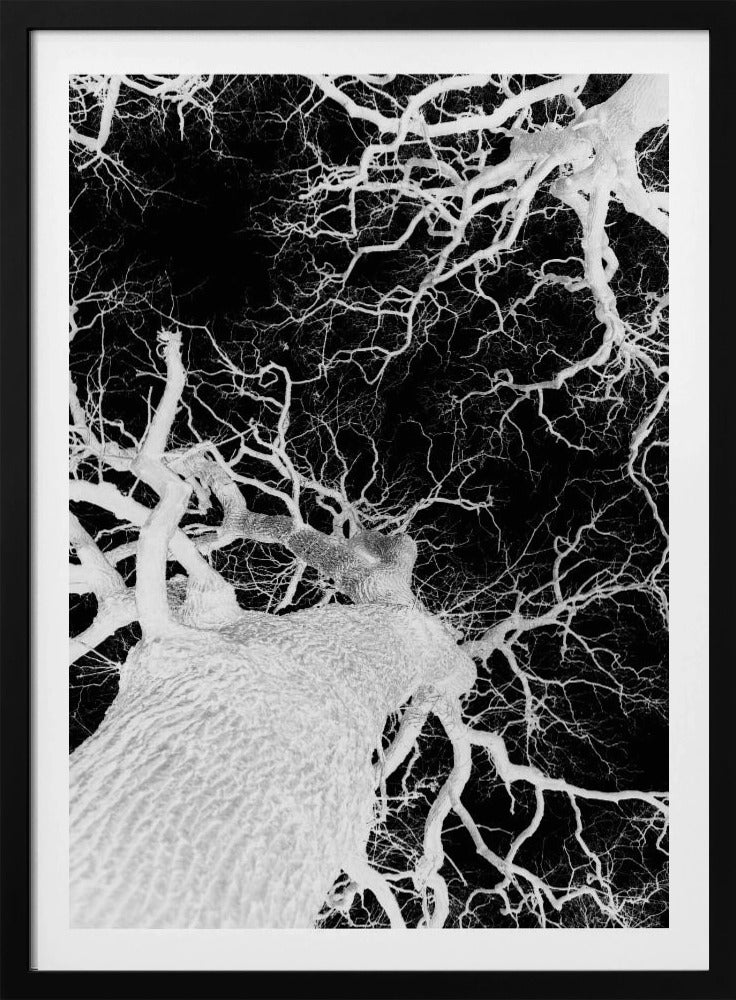 Winteradern | Poster