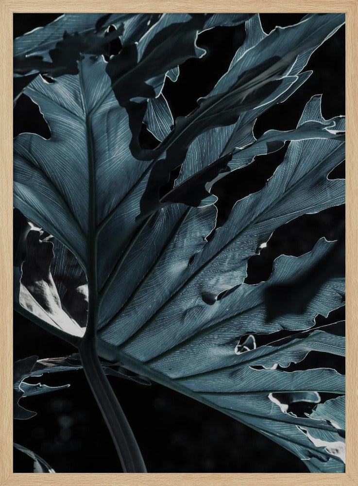Blattschattenlandschaft | Poster