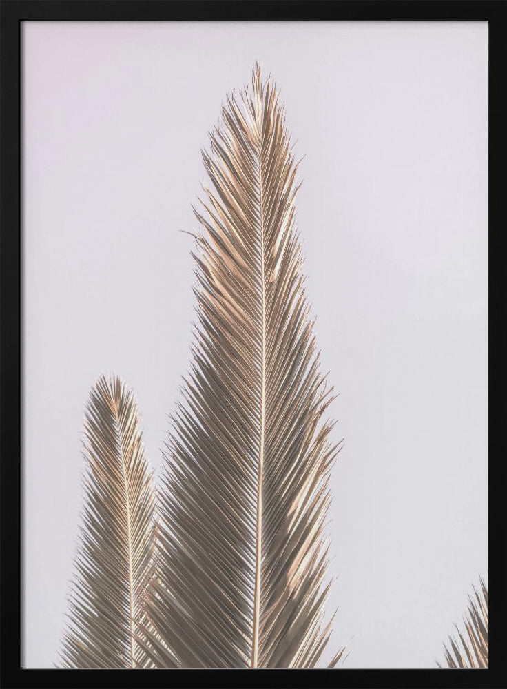 Golden Fronds Skyward | Poster