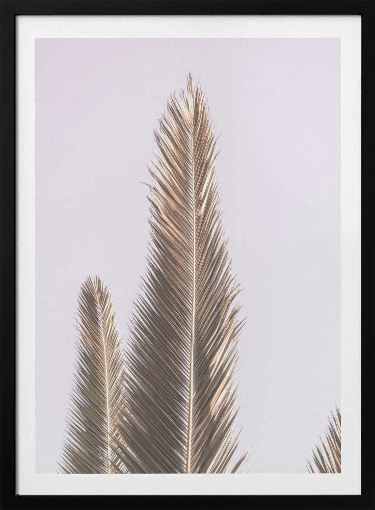 Golden Fronds Skyward | Poster
