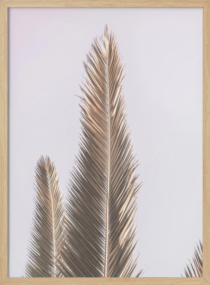Golden Fronds Skyward | Poster