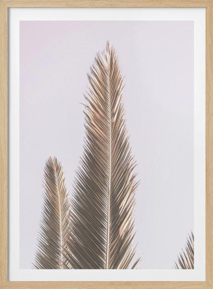 Golden Fronds Skyward | Poster