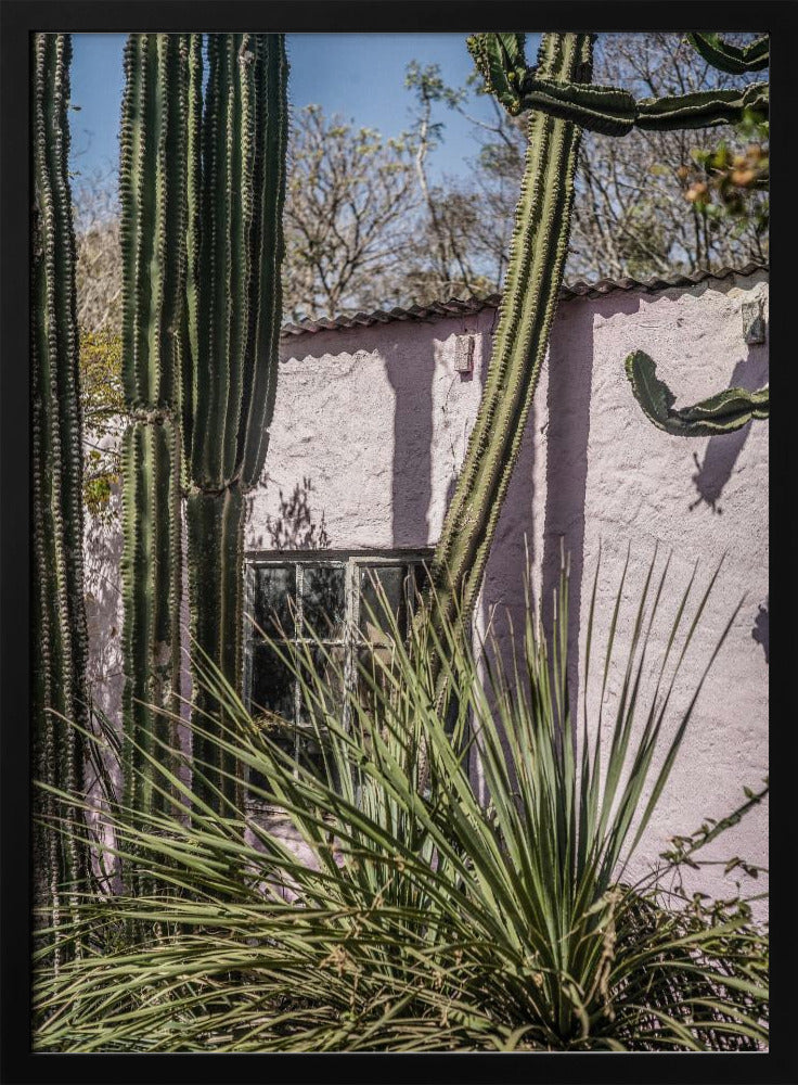 Cactus & Pink Wall | Poster
