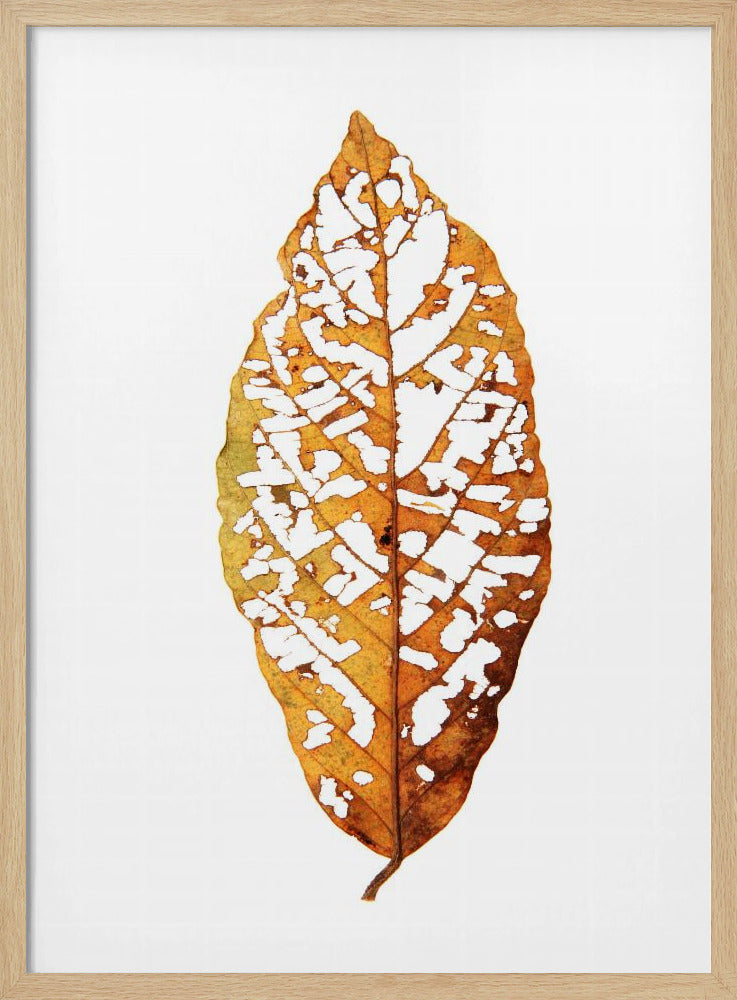 Blattskelett-Essenz | Poster