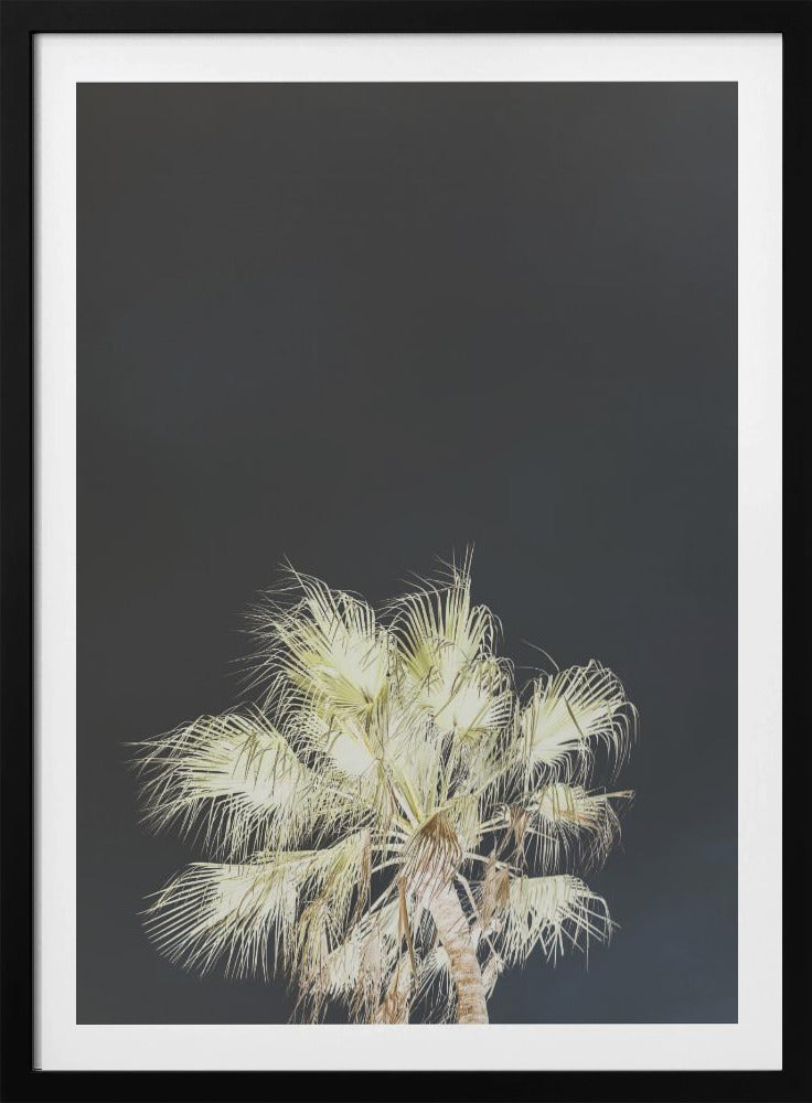 Leuchtende Palmen | Poster