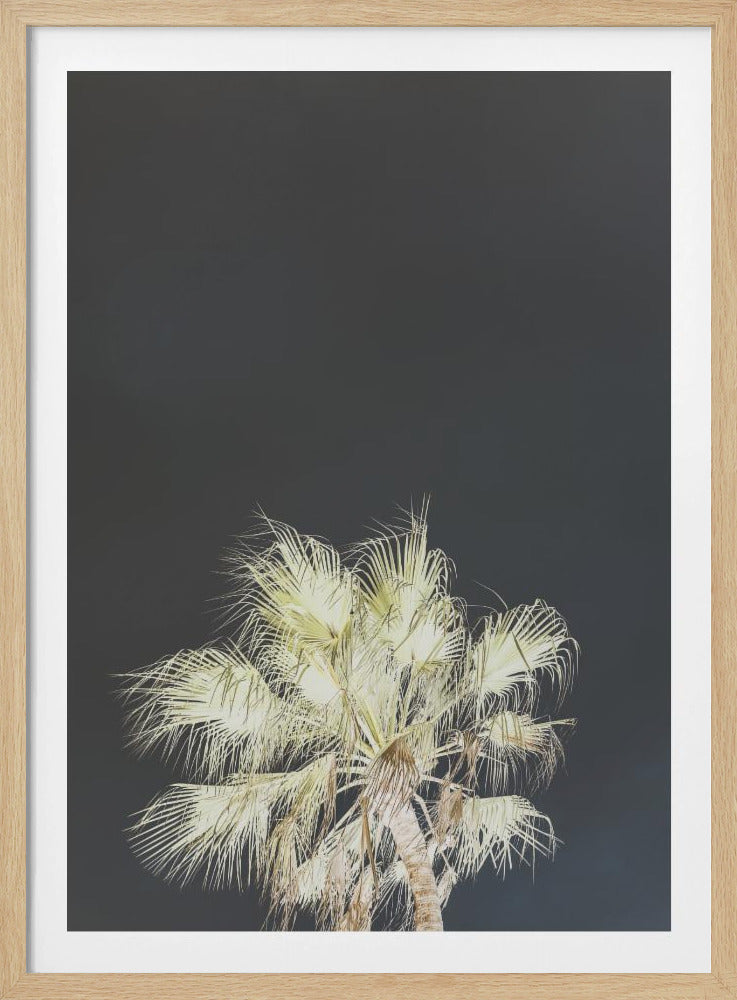 Leuchtende Palmen | Poster