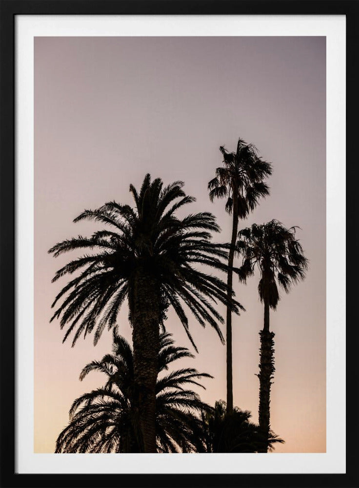 Palmen-Silhouette | Poster