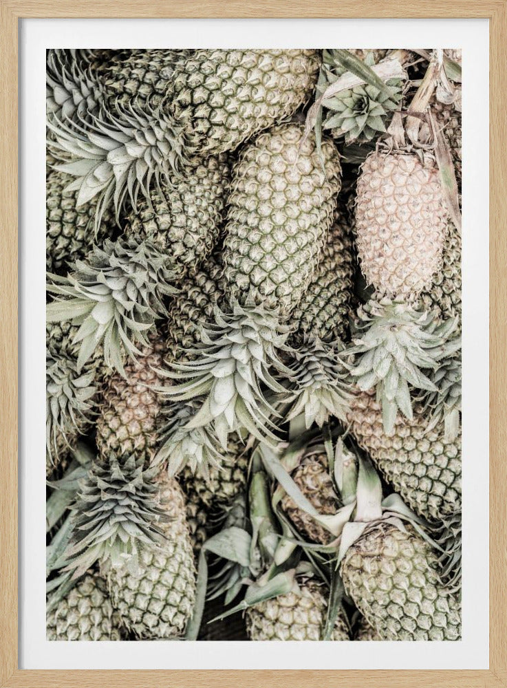 Ananas-Ausstellung | Poster