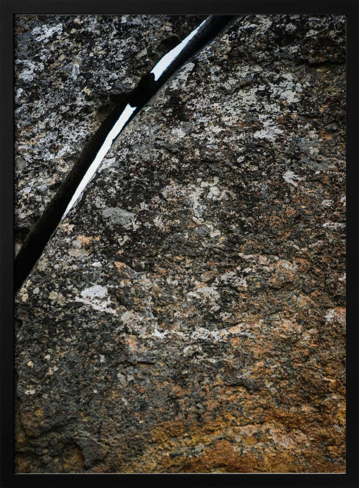 Rissige Erdader | Poster