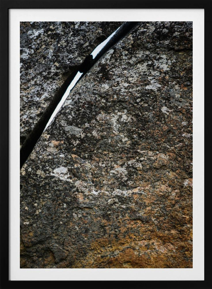 Rissige Erdader | Poster