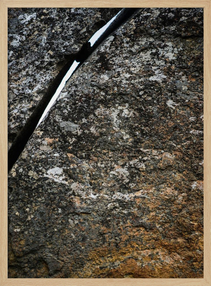 Rissige Erdader | Poster