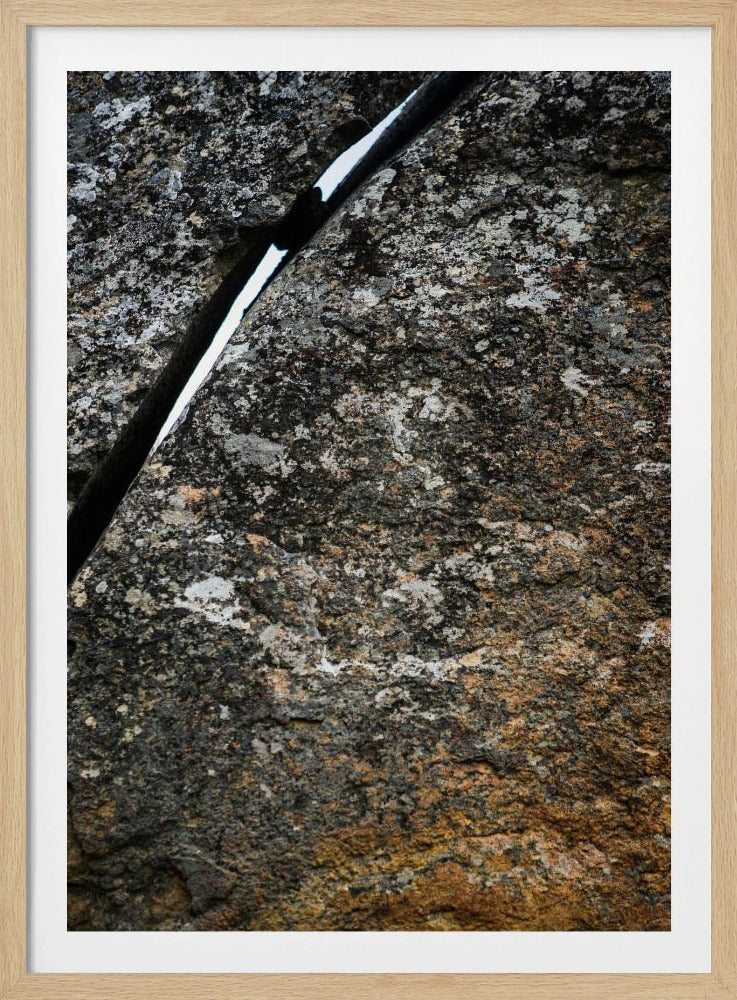 Rissige Erdader | Poster