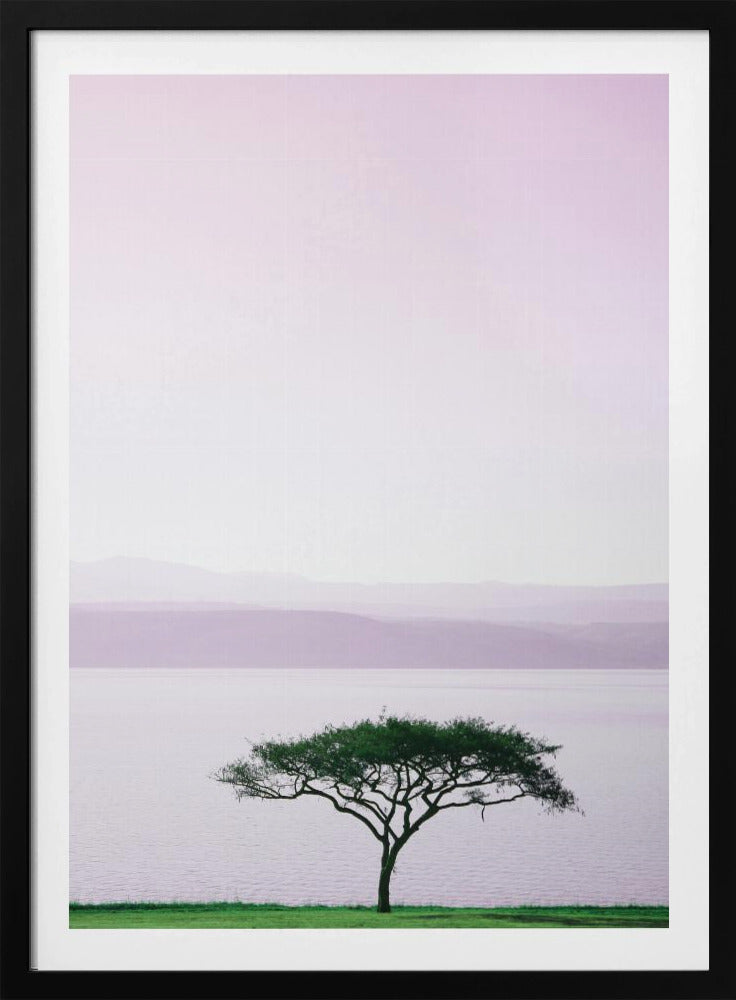 Baum an einem ruhigen See | Poster