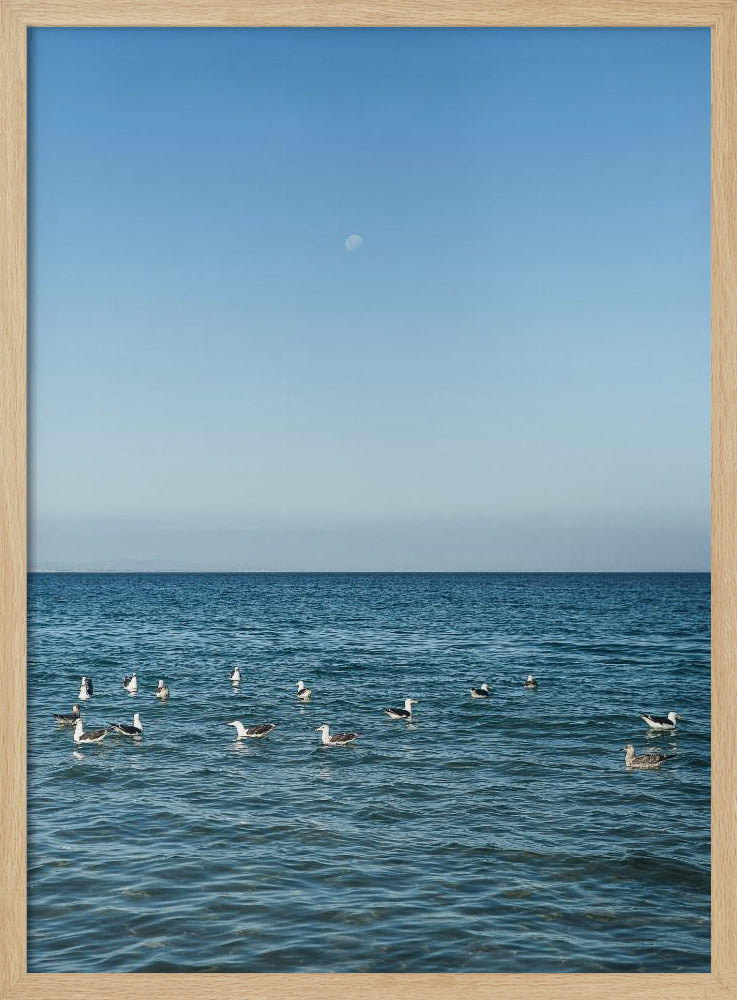 Mondbeschienene Seevögel | Poster