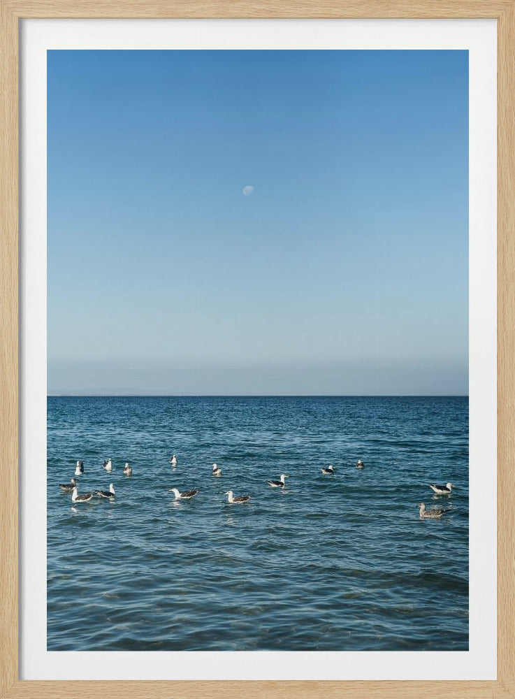 Mondbeschienene Seevögel | Poster