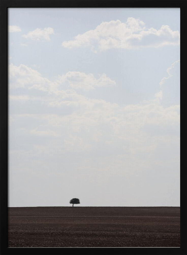 Swart Land | Poster