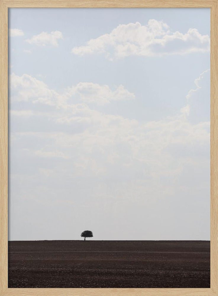Swart Land | Poster