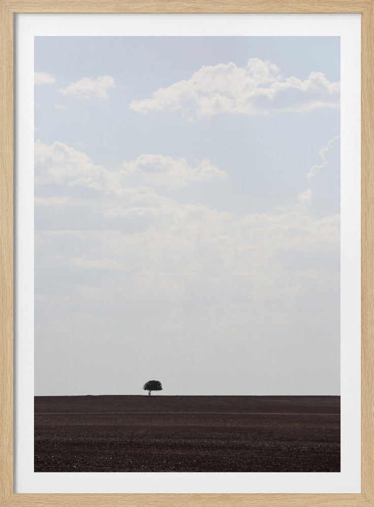 Swart Land | Poster