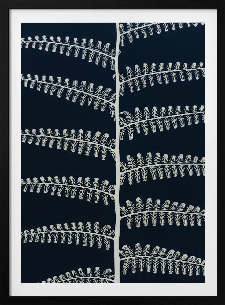 Weiße Farnmuster | Poster