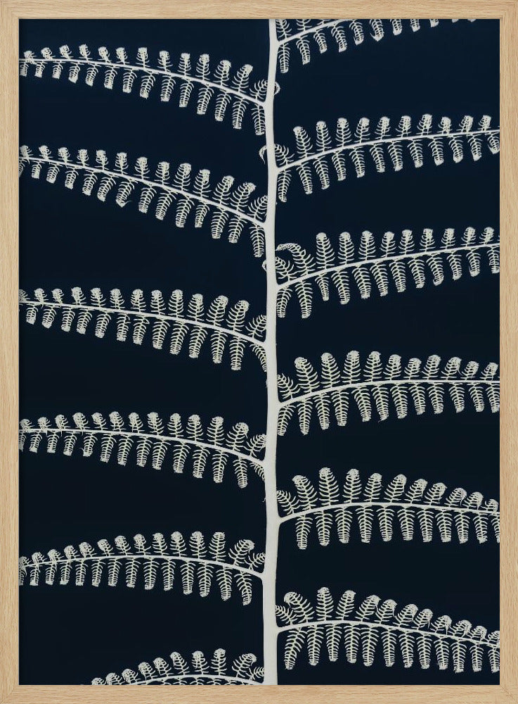 Weiße Farnmuster | Poster