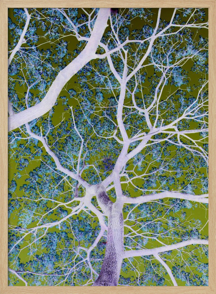 Surreale Zweige | Poster