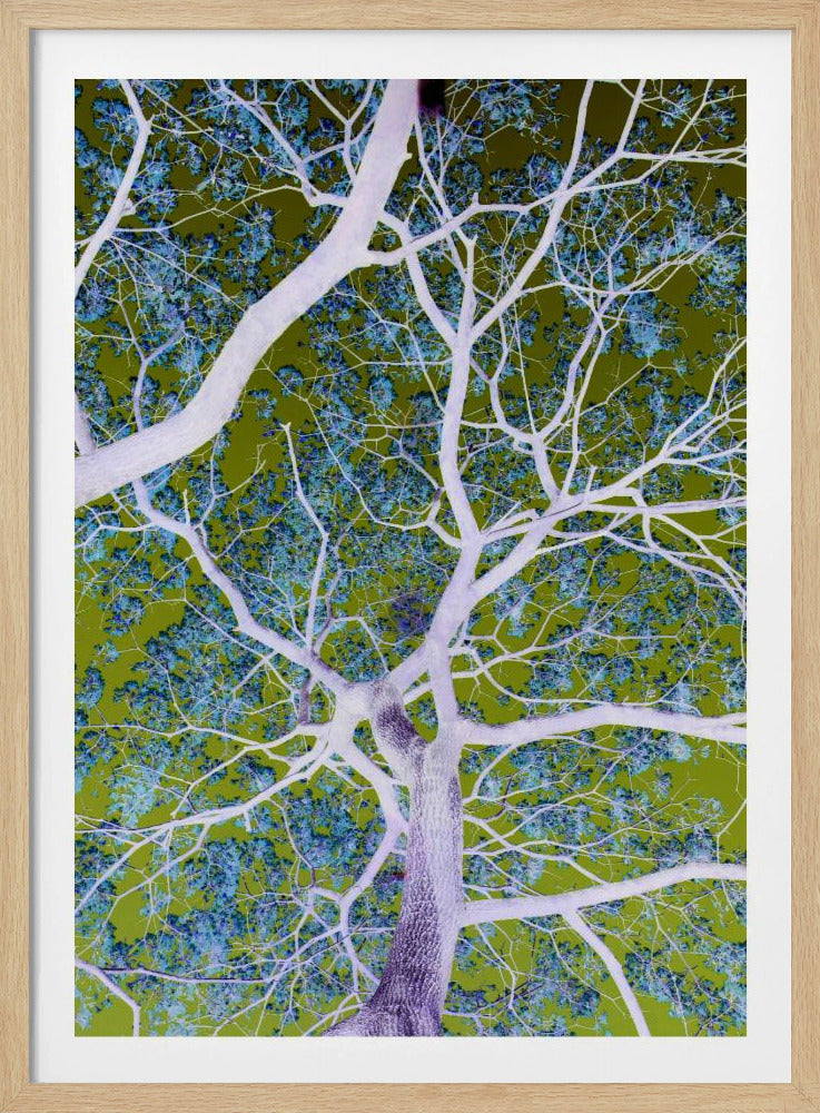 Surreale Zweige | Poster