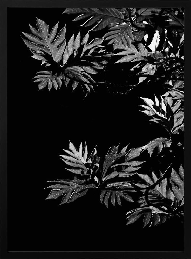 Schatten der Blätter | Poster