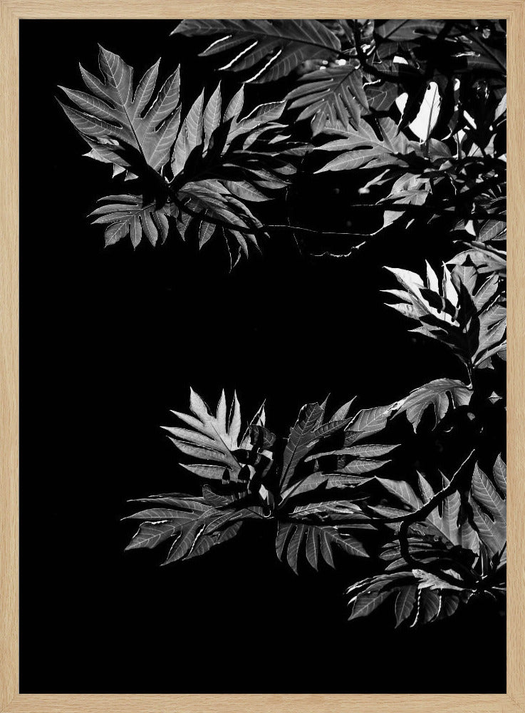 Schatten der Blätter | Poster