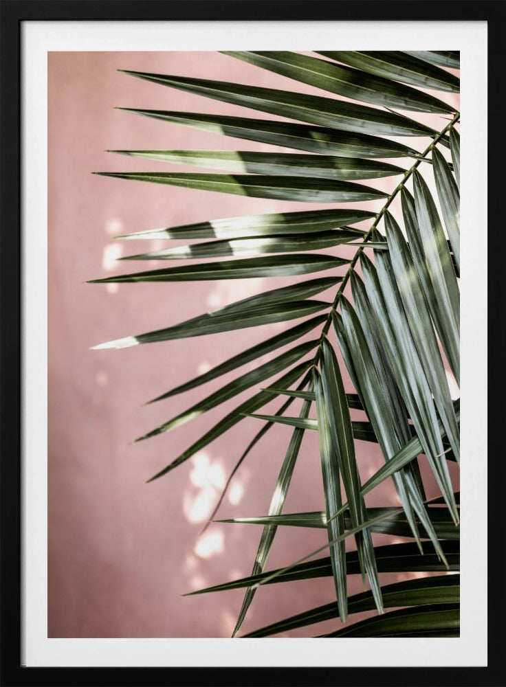 Palmblätter 23 | Poster