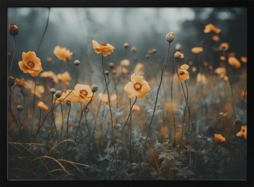 Goldener Mohntraum | Poster