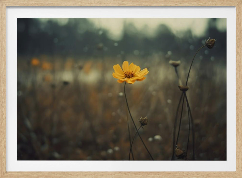 Solitary Bloomers | Poster