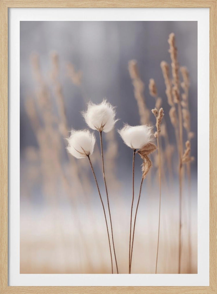 Wintergeflüster | Poster