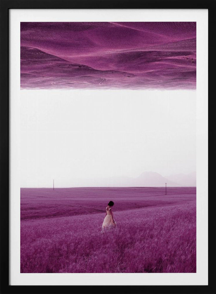Lila Felder | Poster