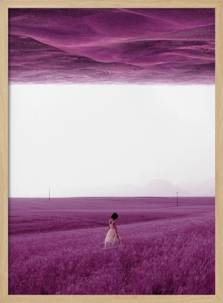 Lila Felder | Poster