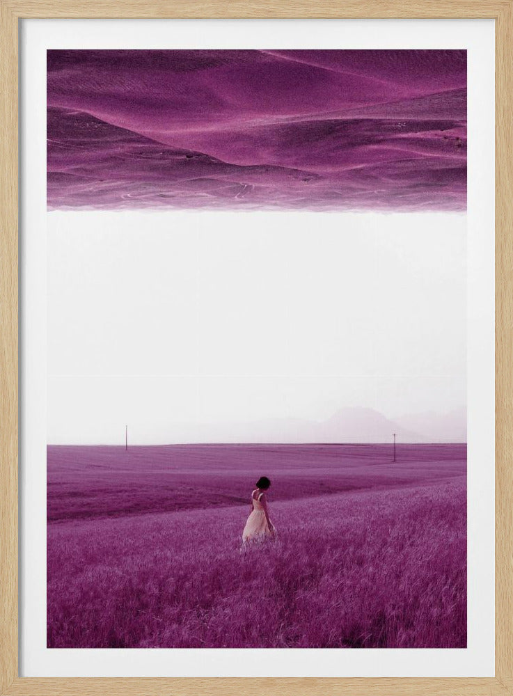 Lila Felder | Poster