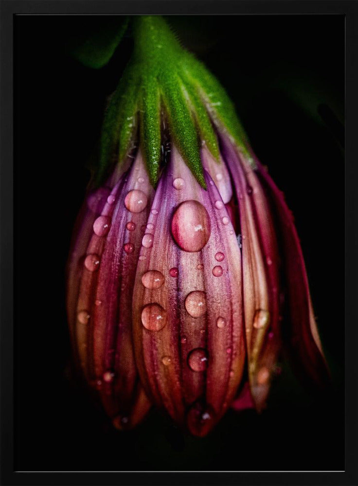 After the rain | Poster
