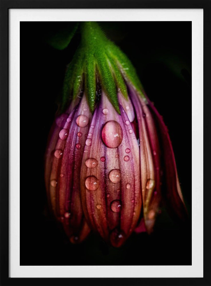 After the rain | Poster